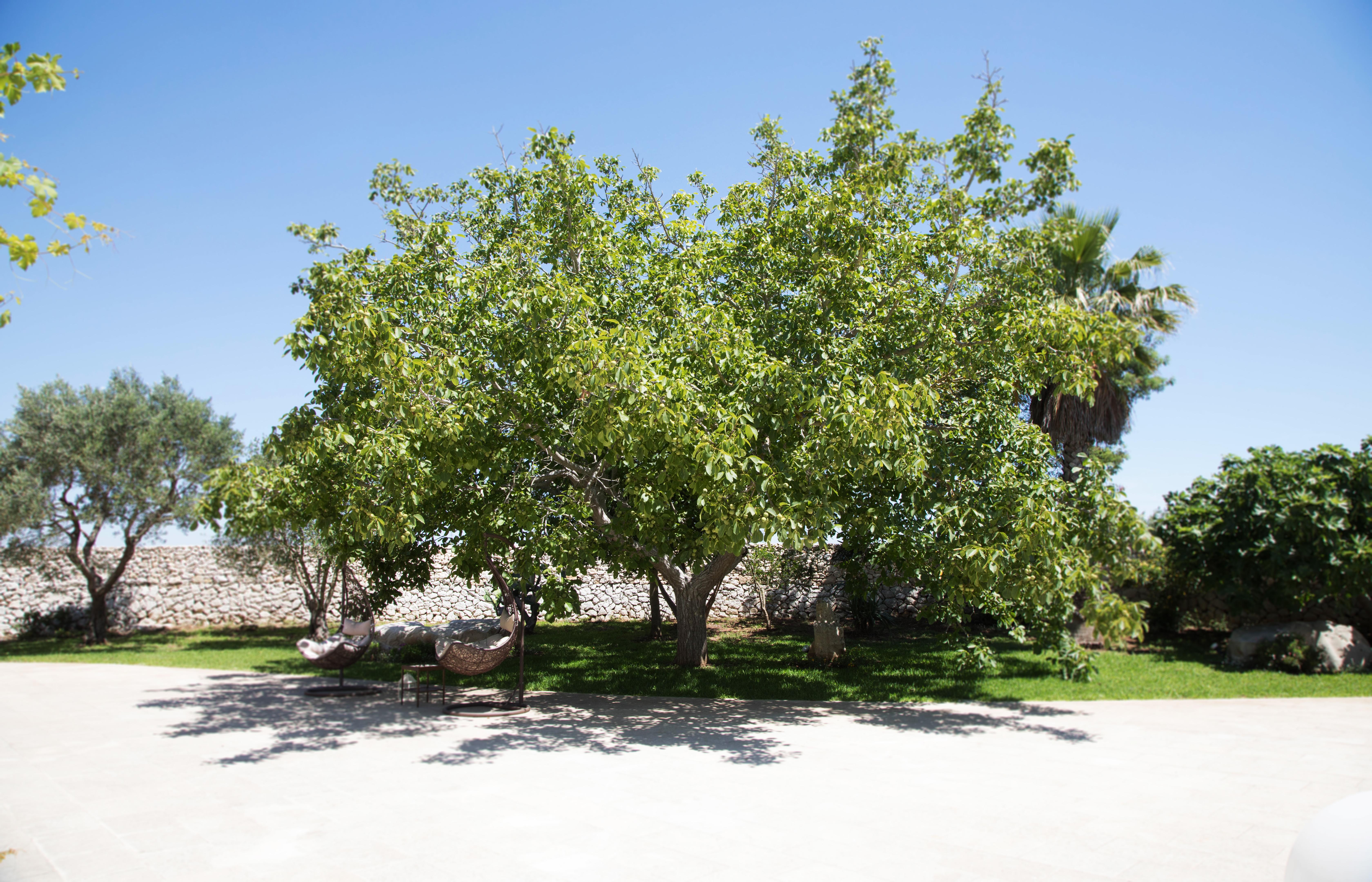 Don Agostino Relais Masseria マルターノ エクステリア 写真